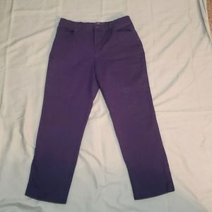 Gloria Vanderbilt  size 10 (ten) Purple amanda short style